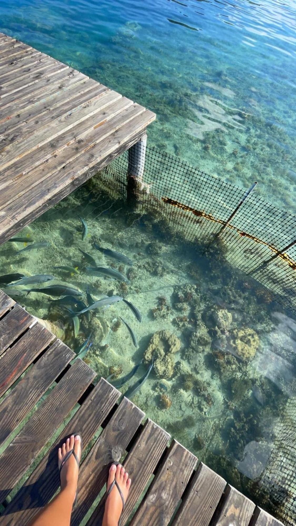 Toa Lodge Bora Bora Dış mekan fotoğraf